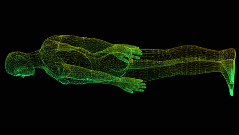 futuristic head up display motion element virtual biomedical holographic human body scan neurological examination, axial skeleton, vertebral column, dna and heart diagnostic for background display