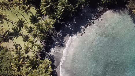 Vista-Panorámica-Aérea-De-Palmeras-En-El-Paraíso-En-La-Playa-De-Arena-Negra-En-La-Isla-Grande-De-Hawaii