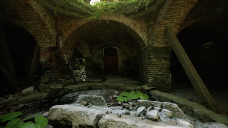 abandoned stone structure with overgrown vegetation and a wooden door