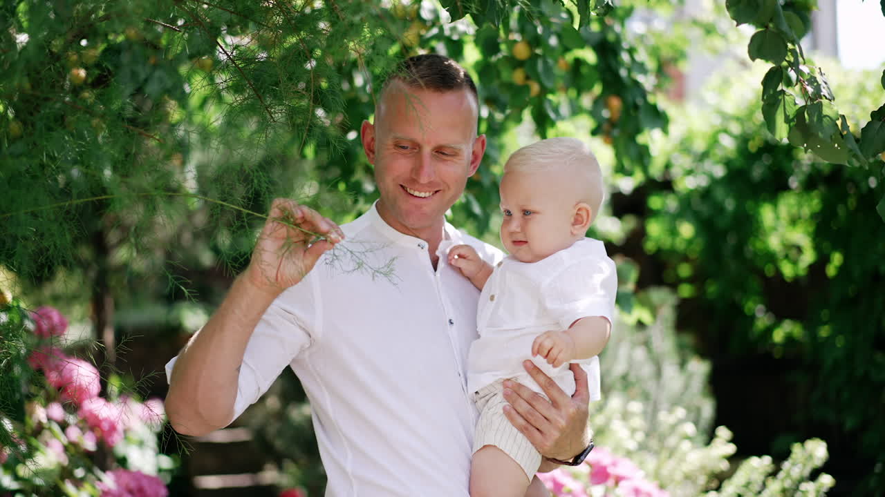Caucasian father wearing white shirt holding a little son in white t-shirt. Daddy showing the leaves on the tree to his baby boy.
