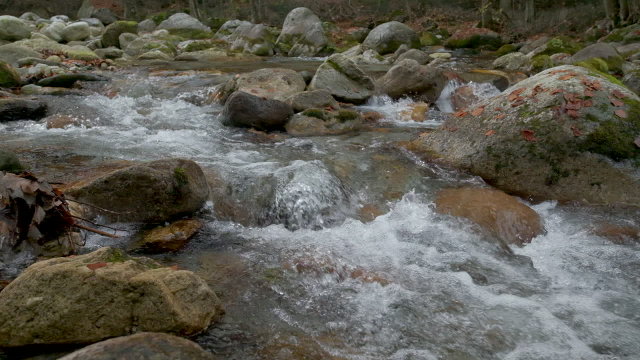 Fiume autunnale in una foresta di montagna al rallentatore con alberi dal fogliame giallo e rosso