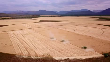 drone flys over a wheat field as combiners harvest the wheat