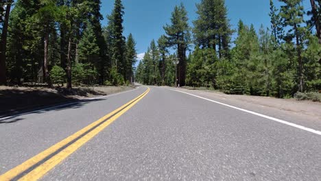 conducir por un camino de montaña forestal sin automóviles 15 segundos
