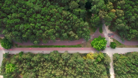 top down aerial view of walking and bike path intersections coming out of urban forest for commuters