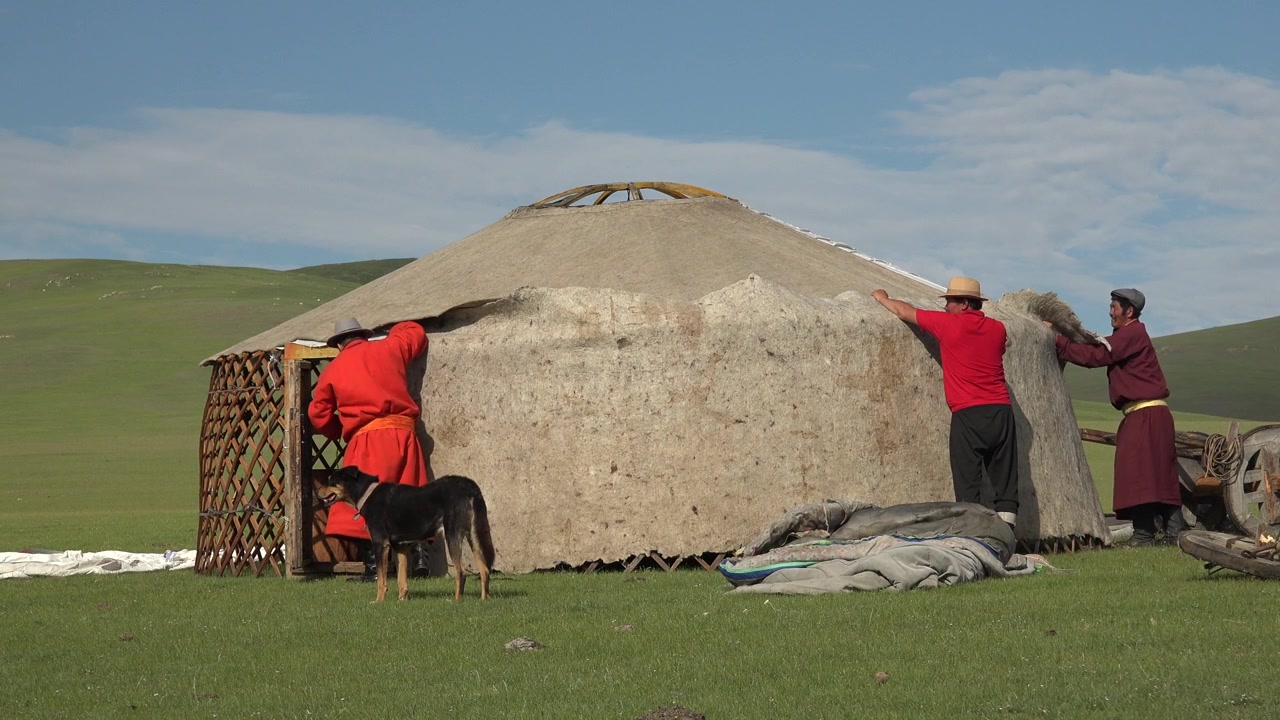 Mongolsk nomadefamilie som setter opp en tradisjonell jurte på steppen