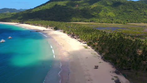 aerial view of a tropical beach with palm trees and clear blue ocean