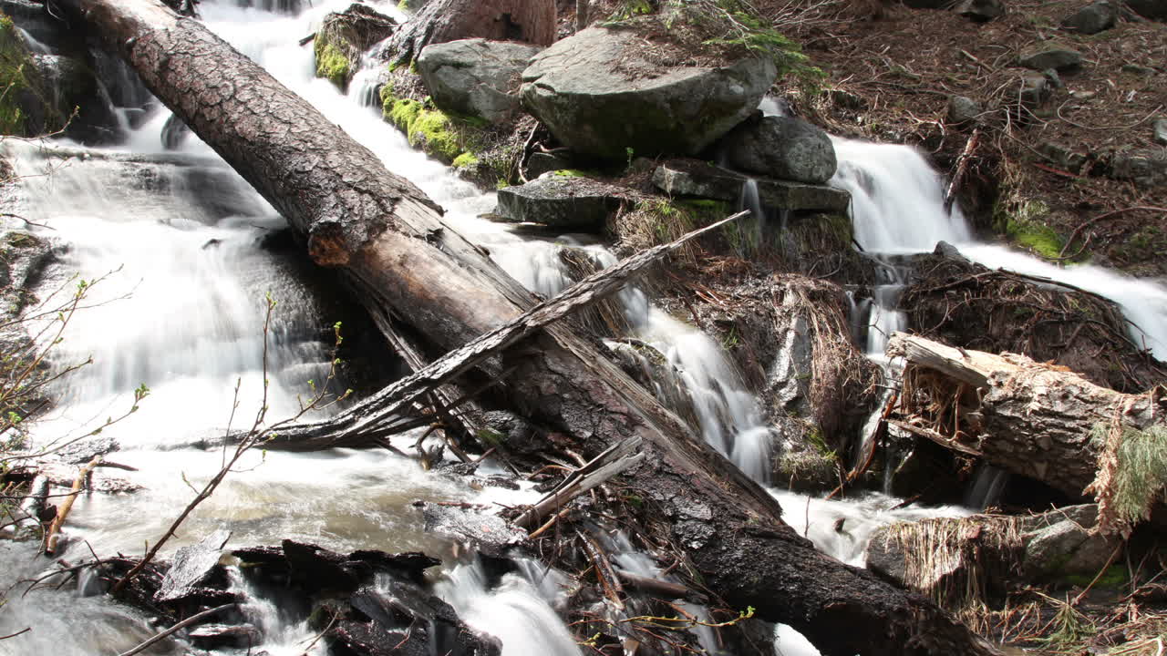 세퀴오아 폭포 01