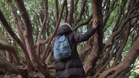 woman walking through woods touching trees stepping over the roots