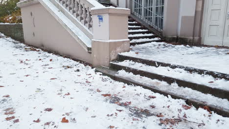 Pan-up-on-some-stairs-in-Koerner-Park-Berlin-covered-of-snow-Germany-in-Wintertime-pan-to-right-HD-60-FPS-6-secs-Osmo-Pocket