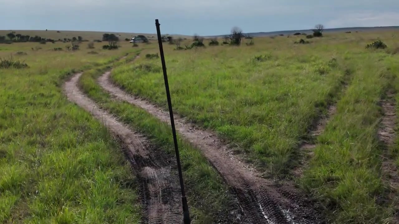 POV driving shot from a safari vehicle on a muddy, dirt road in Masai Mara, Kenya