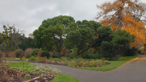 cinematic shot of botanic gardens walk during cloudy day in dublin, ireland