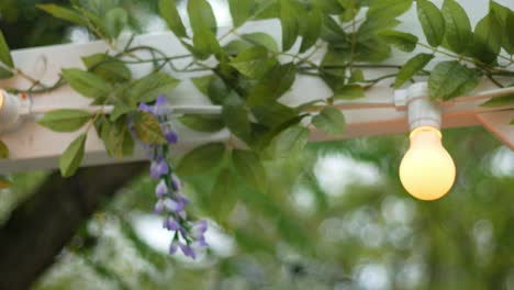 Panning-shot-of-lights---flower-hung-for-event