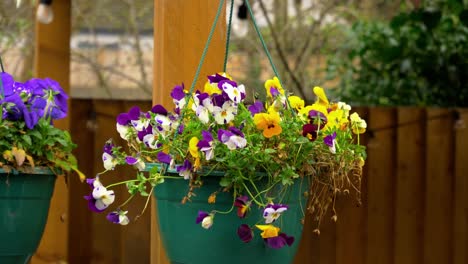 las flores de primavera