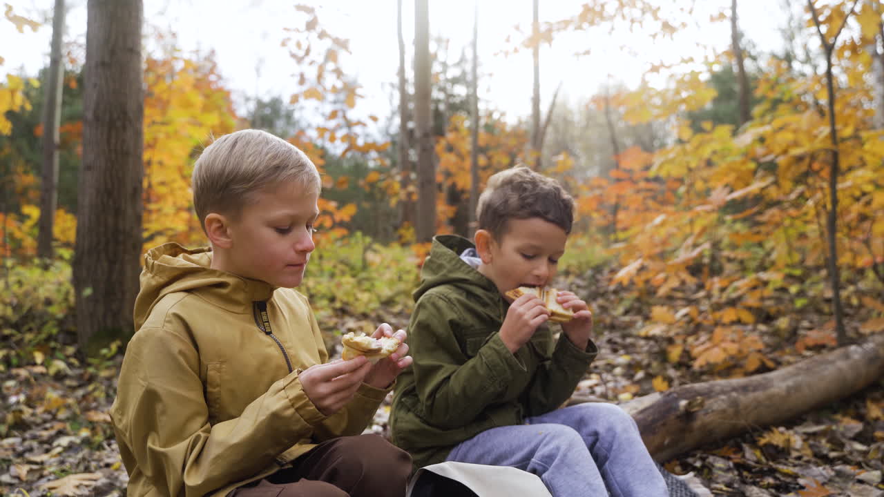 Kids sitting on a dead tree