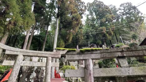 serene walk through a moss-covered japanese cemetery