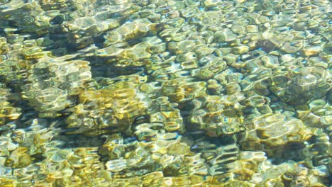 crystal clear and underwater stones waters of tenerife's natural pools