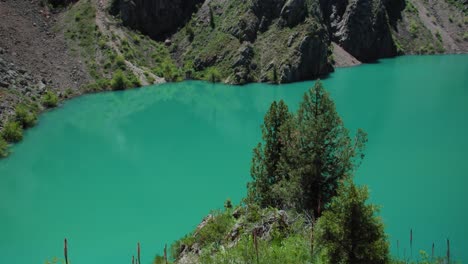 mountain lake of green and blue color urungach and pine trees