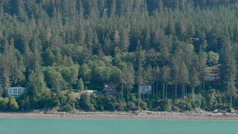 dolly shot of juneau, alaska mountain coastline with forest trees.