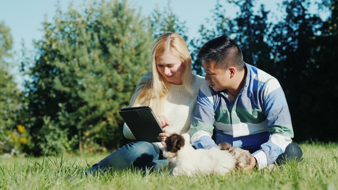 뒷마당에서 태블릿으로 일하는 젊은 부부. 다음 실행 강아지