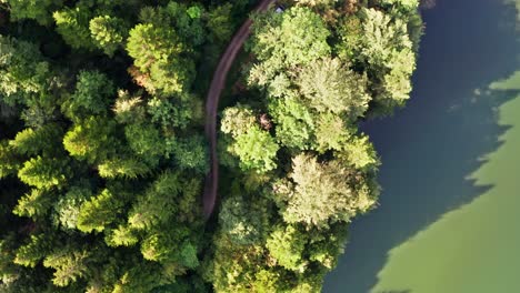 top view of a winding country road through a forest at the edge of a river course