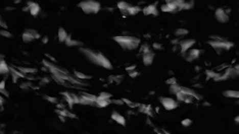 splashes and drops on the surface of the liquid. abstract black background water vibration. 4k slow motion 100 fps, prores 422, 10 bit