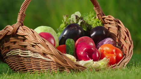 hand reaching into a wicker basket full of fresh vegetables