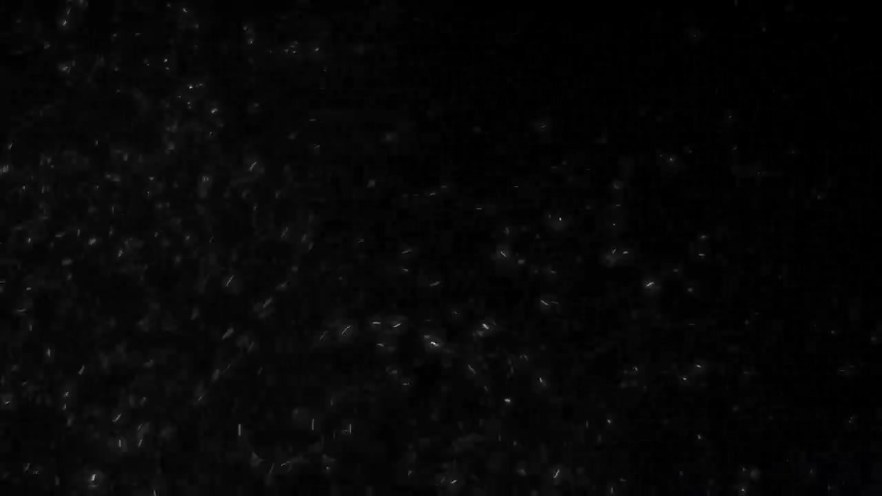 暗い背景に浮遊する白いホコリの粒子