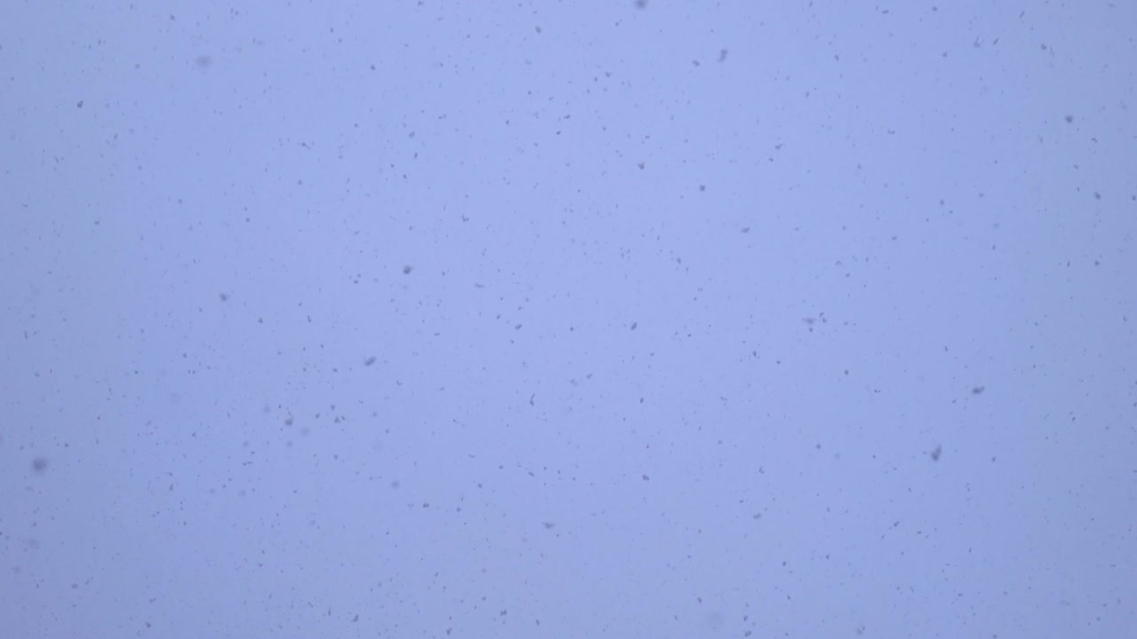 grandes copos de nieve caen contra un cielo brillante