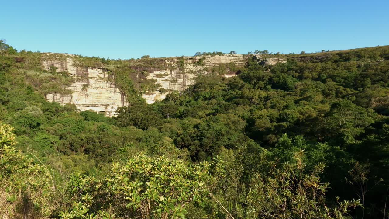 Campos Gerais National Park landscape with forest and sandstone formation, Brazil