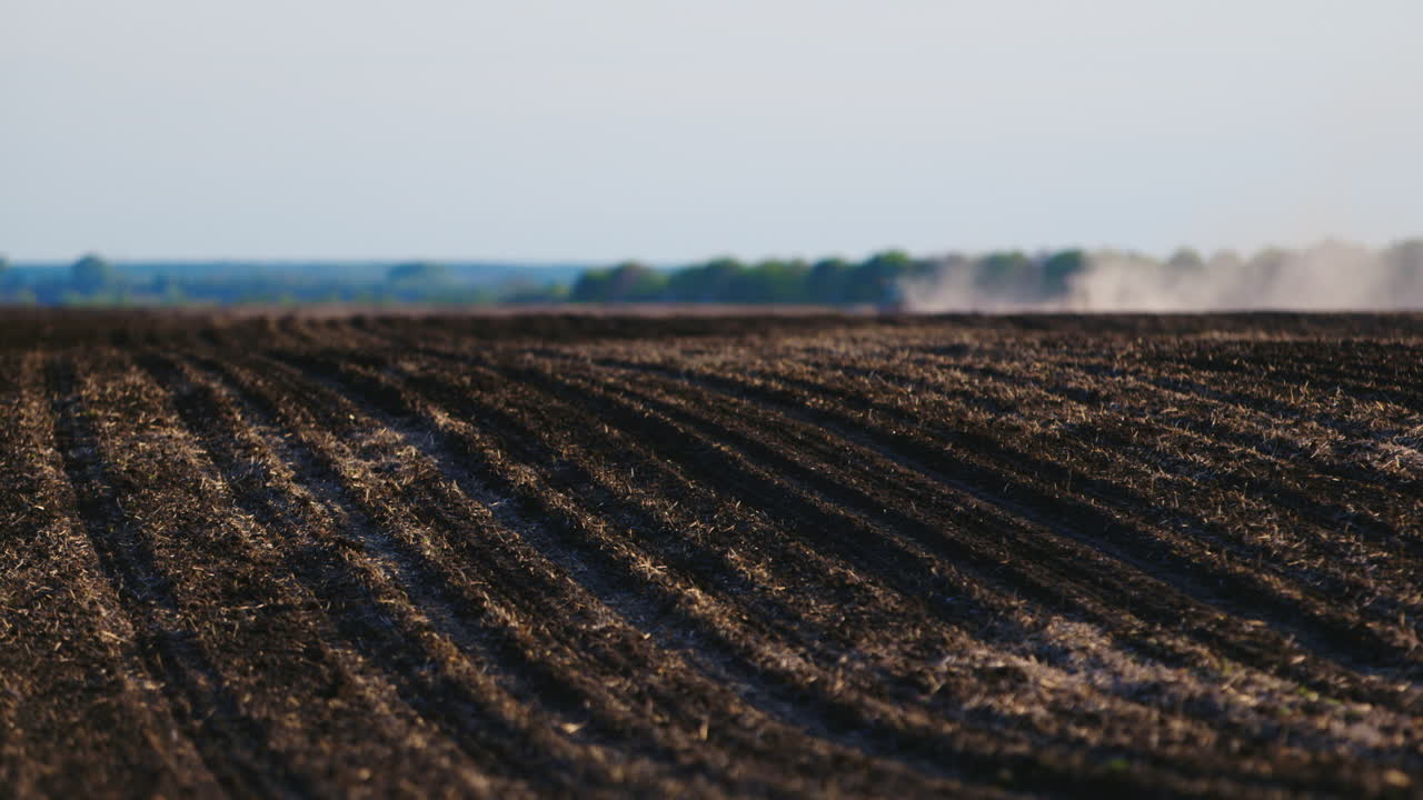 Il Campo Di Terreno Nero Di Alta Qualità