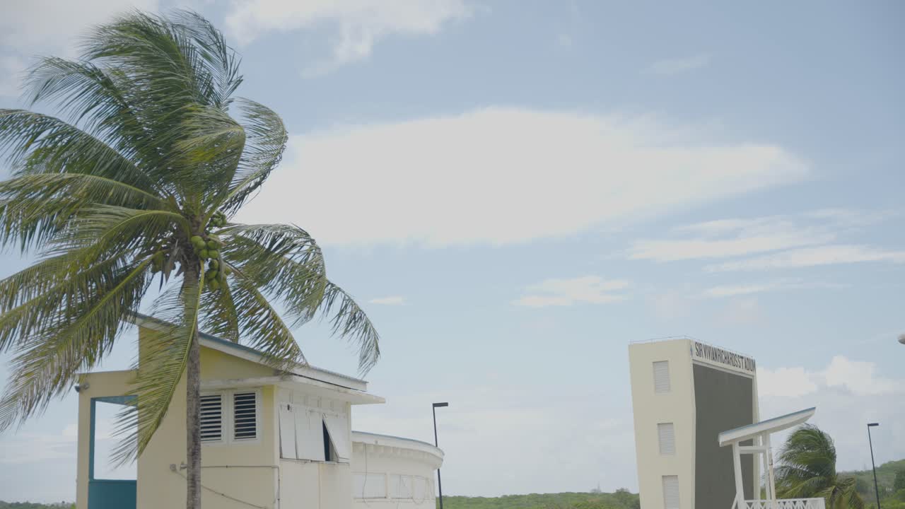 Palm tree blowing at Viv Richards Stadium in Antigua, with signage from the ground to the right