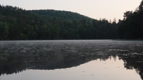 mist moves slowly over a still lake reflecting the trees lakeside, lac de lispach, france