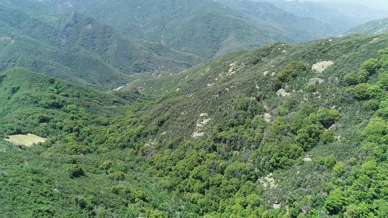 Aerial view of a part of national sequoia forest