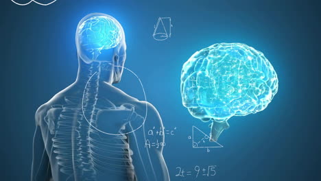 animación de cerebro digital y modelo humano sobre ecuaciones matemáticas en fondo azul