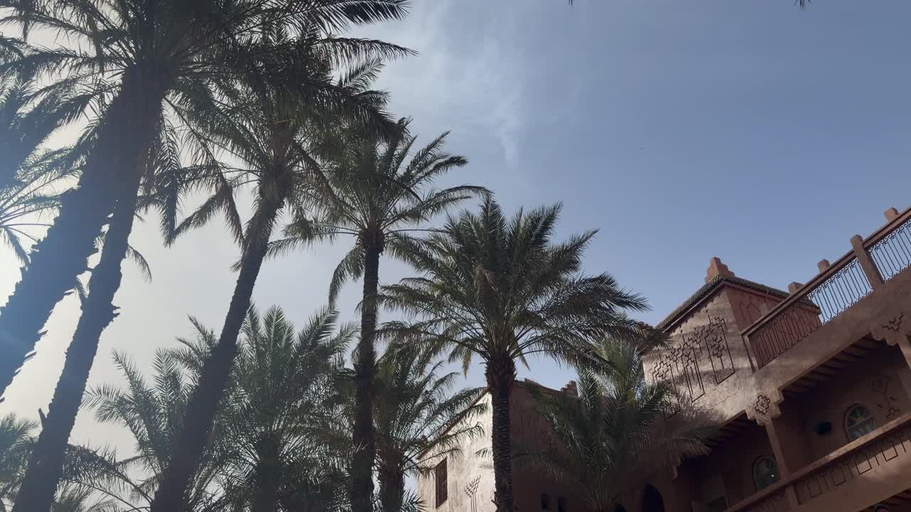 Vista dal basso di palme e di un riad ornato con dettagli del balcone, Marocco