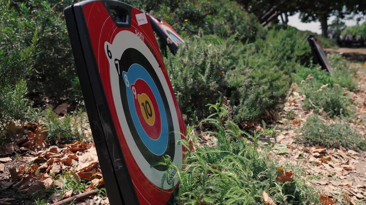 Slow motion shot of a plastic arrow sticking to a archery scoring board
