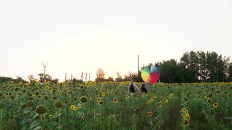 Schönes-Paar-In-Einem-Sonnenblumenfeld