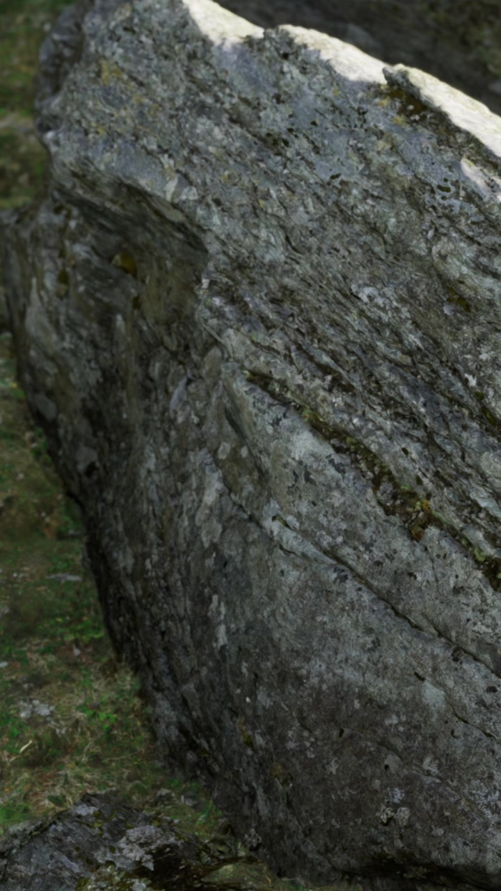 Grande roccia grigia in un ambiente naturale con erba e muschio nelle vicinanze.