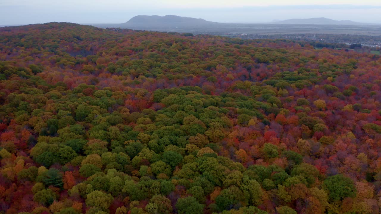 pan de drones mirando un bosque colorido en otoño