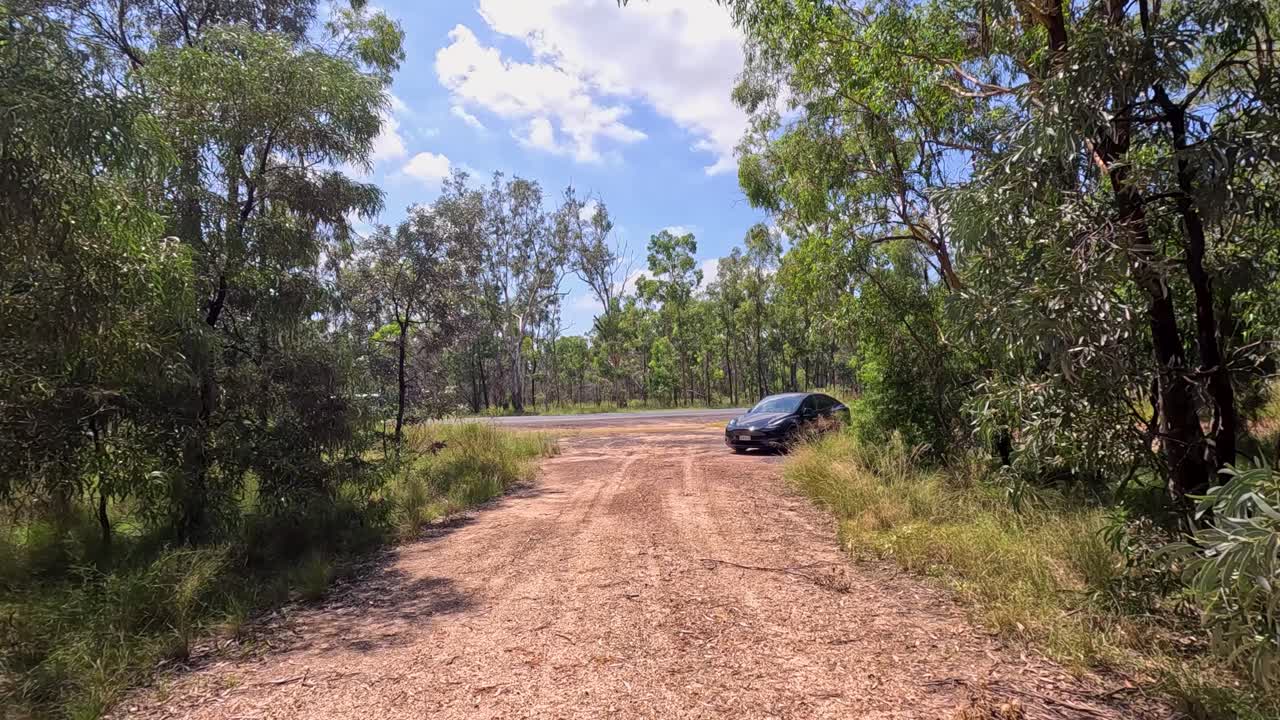밴은 유칼립투스 나무로 둘러싸인 길을 가로질러 이동합니다.