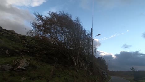 Tarde-Tormentosa-En-El-Campo