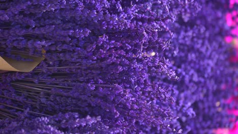 Close-up of a bunch of dried lavender