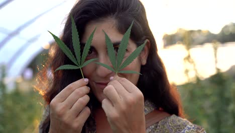 crop woman with cannabis leaf in greenhouse