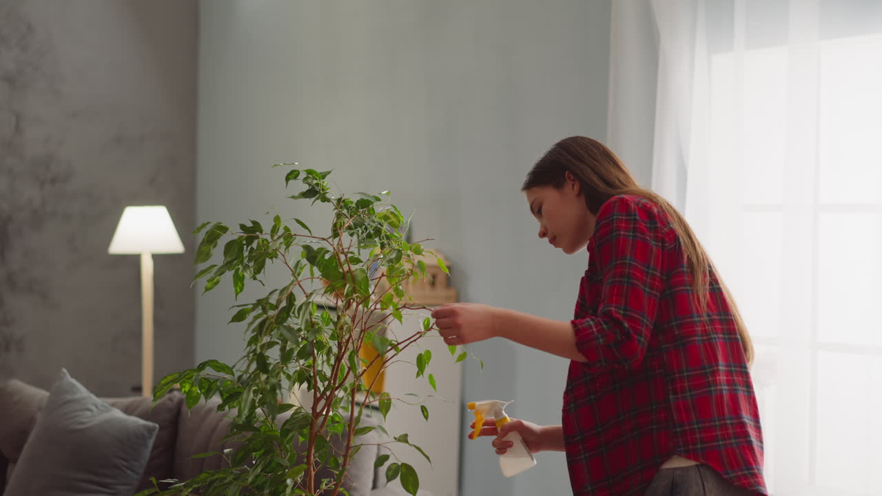 mujer con camisa roja lava hojas de ficus rociando agua