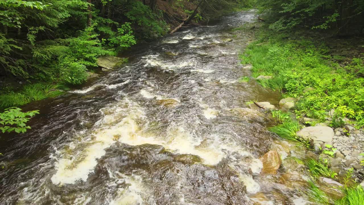 Drone footage of a trout fishing stream in the Catskill mountains after a day of rain