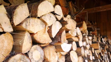 tilt down shot of a pile of firewood inside a shed