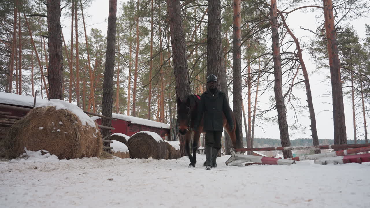 jinete atravesando un paisaje nevado en invierno, persona guiando a un caballo a través de un terreno nevado con un telón de fondo de pinos, entrenador conduciendo un caballo montado a través de una escena invernal con heno y vallas de madera