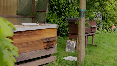 profession, knowledge of bee biology, hive management techniques