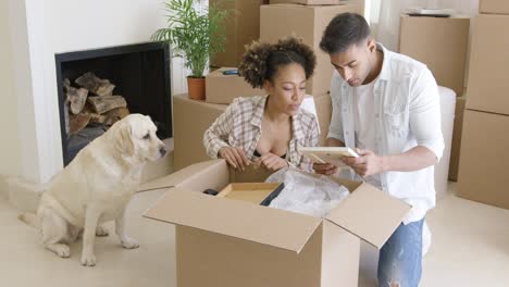 Golden-Retriever-Beobachtet-Seine-Besitzer-Beim-Packen