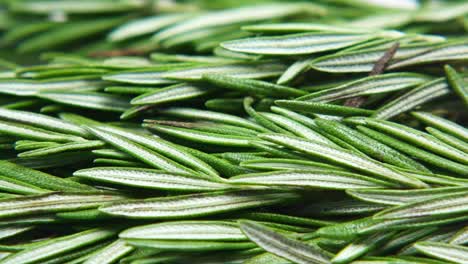 Fresh-green-sprig-of-rosemary,